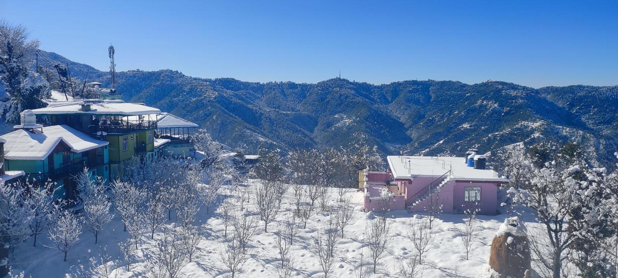 Vintage Woods Inn Shimla Luaran gambar